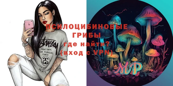 СК Алексин