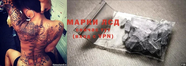 СК Алексин